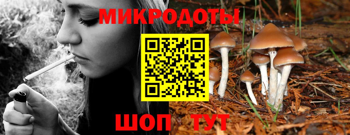 Псилоцибиновые грибы Magic Shrooms Лыткарино
